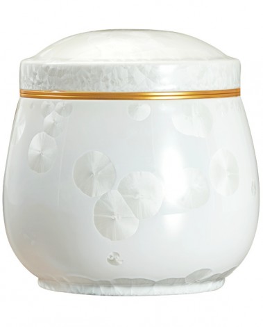 고결5호 화이트호롱-D12728