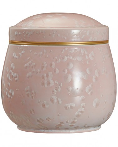 고결6호 핑크호롱-G19739