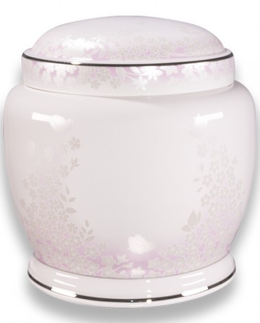 본24호 핑크포레-W29237